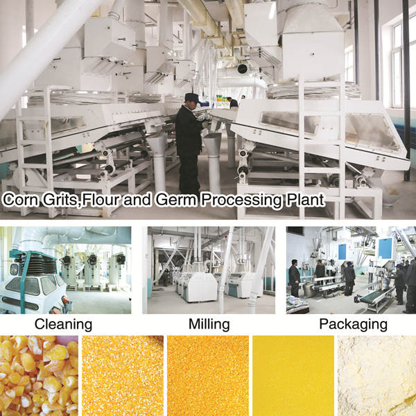 corn flour mill plant