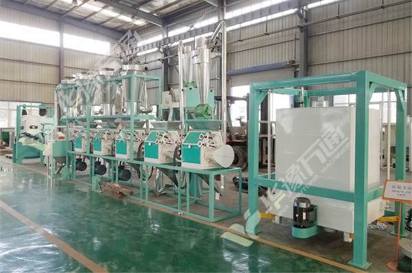 20 Tonnes Per Day Maize Flour Milling Machine