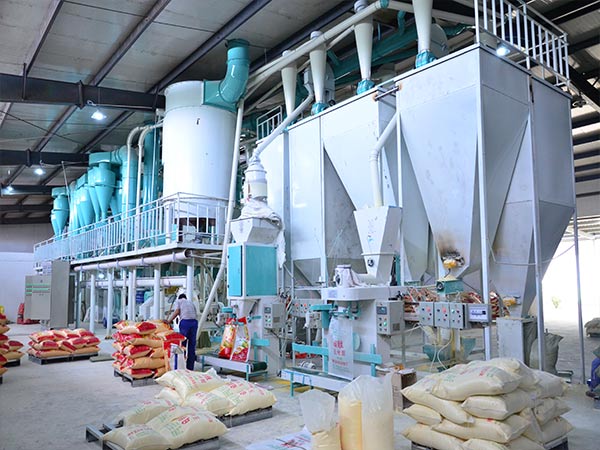 50ton per day maize milling plant in Uganda