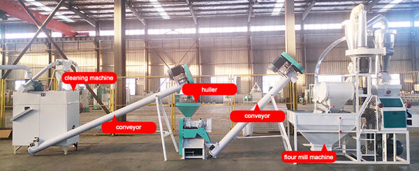 Complete Maize Meal Milling Plant for Africa