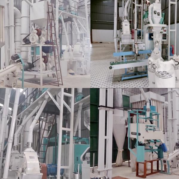 30ton maize milling plant