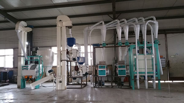 10T COMPLETE MAIZE MILLING MACHINE