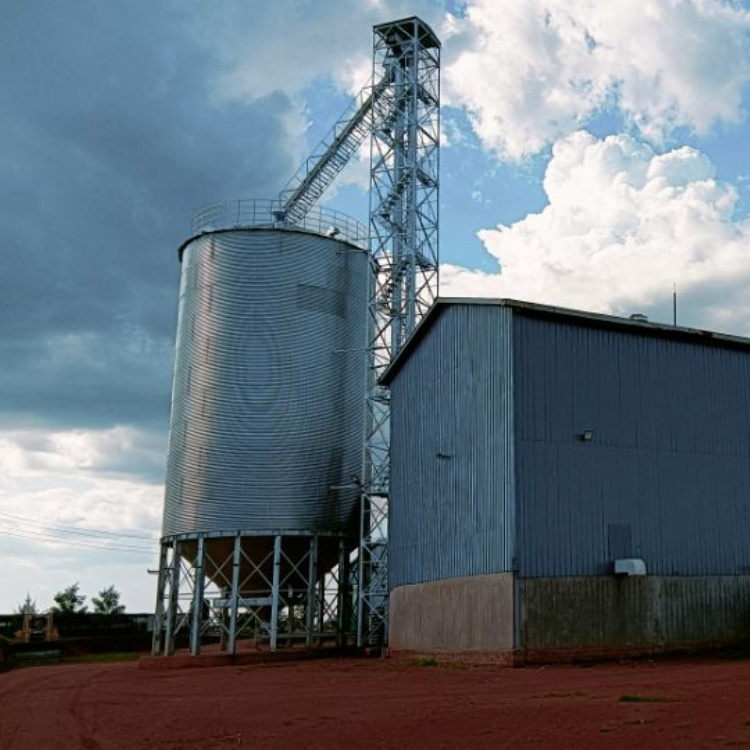 Complete Maize Meal Milling Plant for Africa