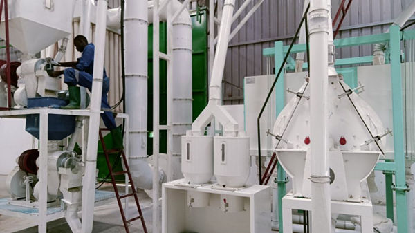 30T/24h maize milling plant